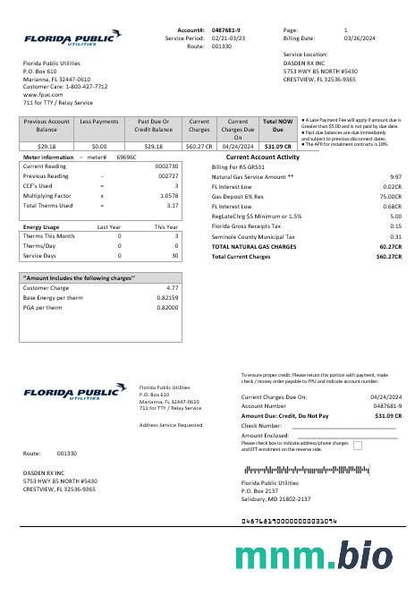 USA Florida Public Utilities rachunek za usługi komunalne szablon w formacie Word i PDF